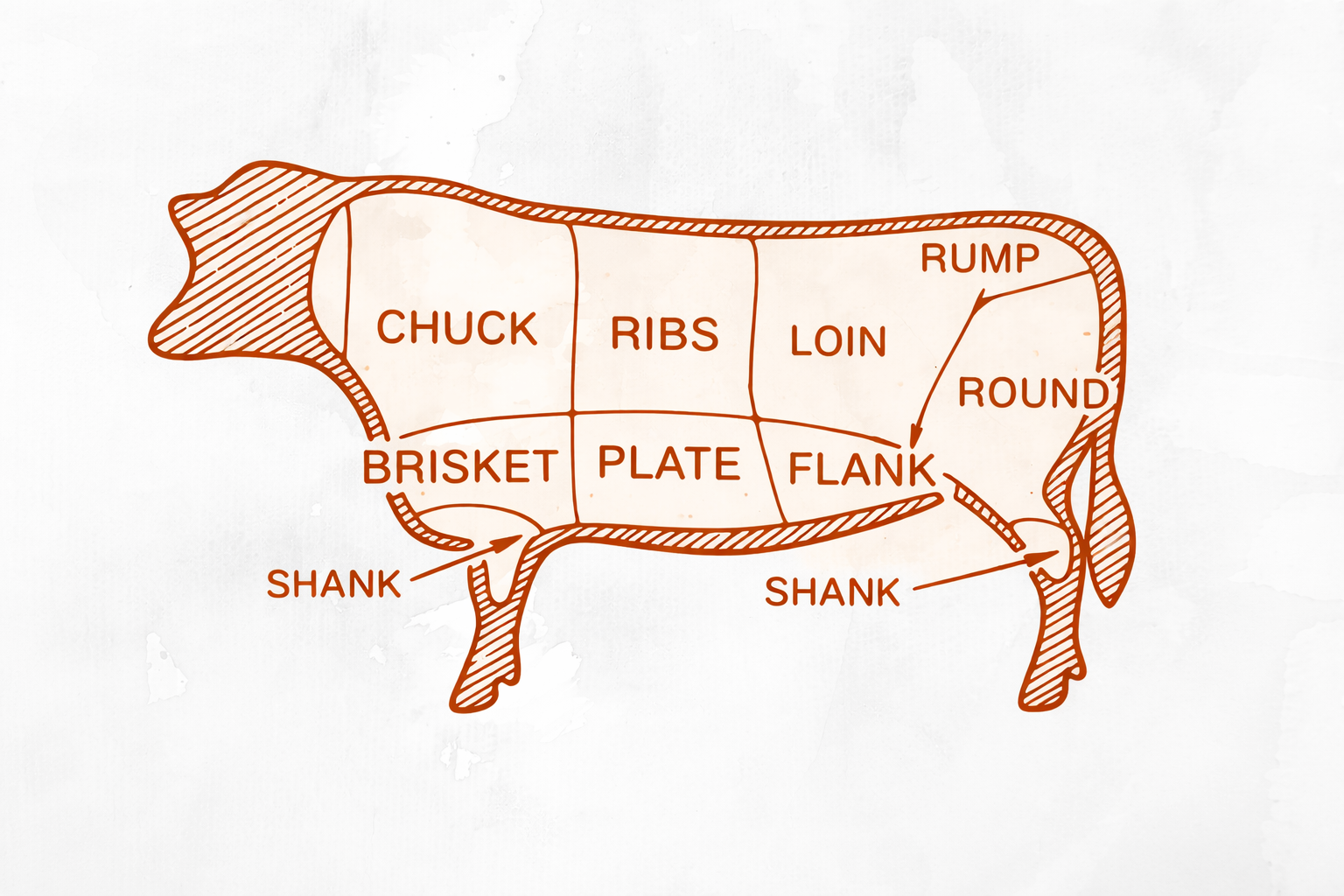 Beef Cuts Diagram